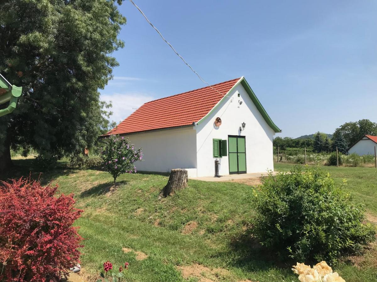 Appartamento Joe Bácsi Rezidenciája Kisharsány Esterno foto